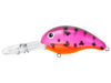 Bandit Lures 300 Crappie Series Crankbait After Shock