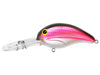 Bandit Lures 300 Crappie Series Crankbait Grenada Shad