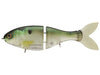 Bucca Trick Shad Glide Bait Green Gizzard