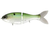 Bucca Trick Shad Glide Bait Kiwi