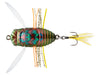 Duo Realis Shinmushi Cicada Kinkame