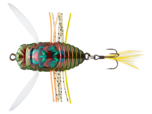 Duo Realis Shinmushi Cicada Kinkame