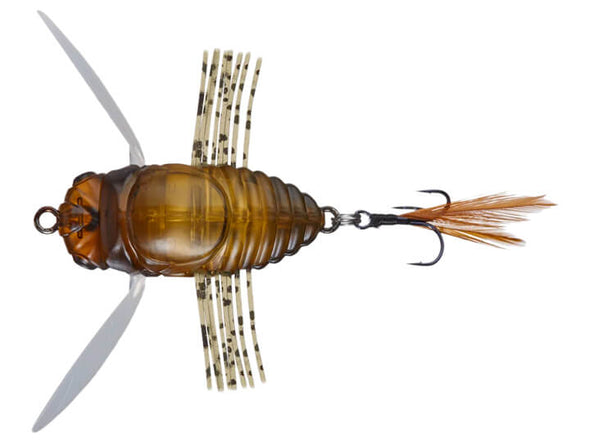 Duo Realis Shinmushi Cicada Semigara