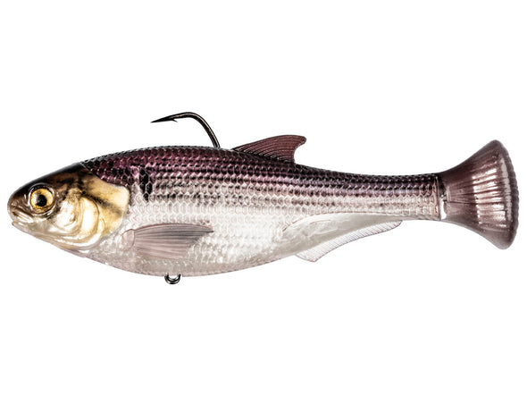 Z-Man Shadtron LT Swimbait Gizzard Shad