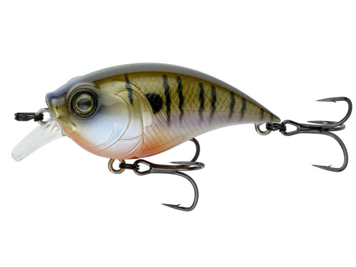 Large I-Slide Style Trout Swimbait - Clyde's Cranks