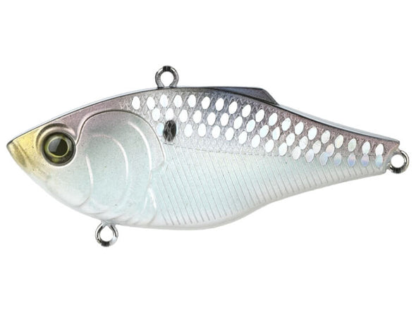6th Sense Fishing Movement 80X Shallow Water Crankbait (Shad Scales) :  : Sports, Fitness & Outdoors