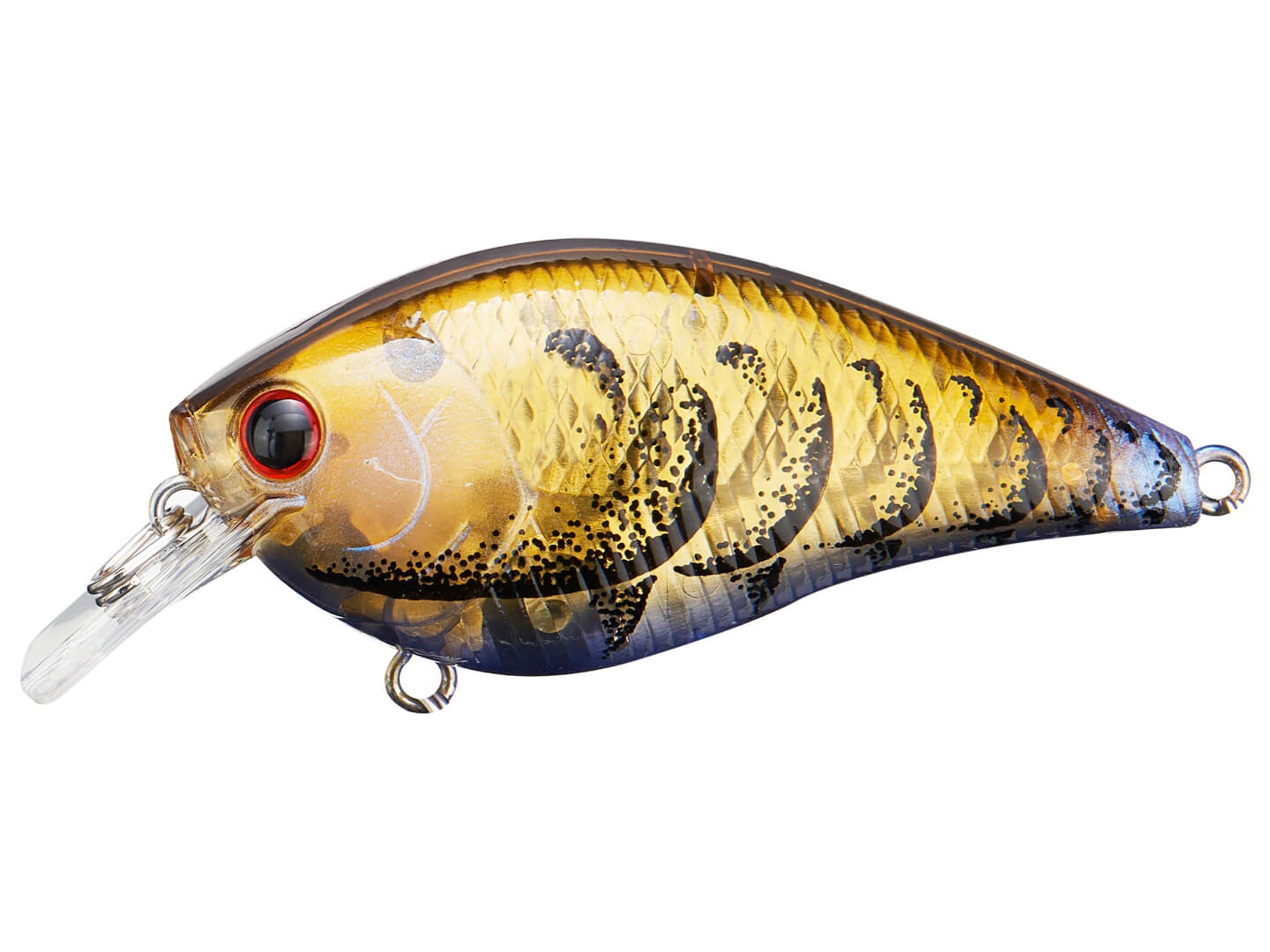 https://www.harpethriveroutfitters.com/cdn/shop/products/lucky-craft-lc-silent-squarebill-ghost-green-purple-craw_1440x.jpg?v=1646015554