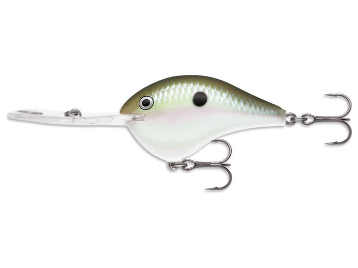 Rapala DT 20 Metal Green Gizzard Shad