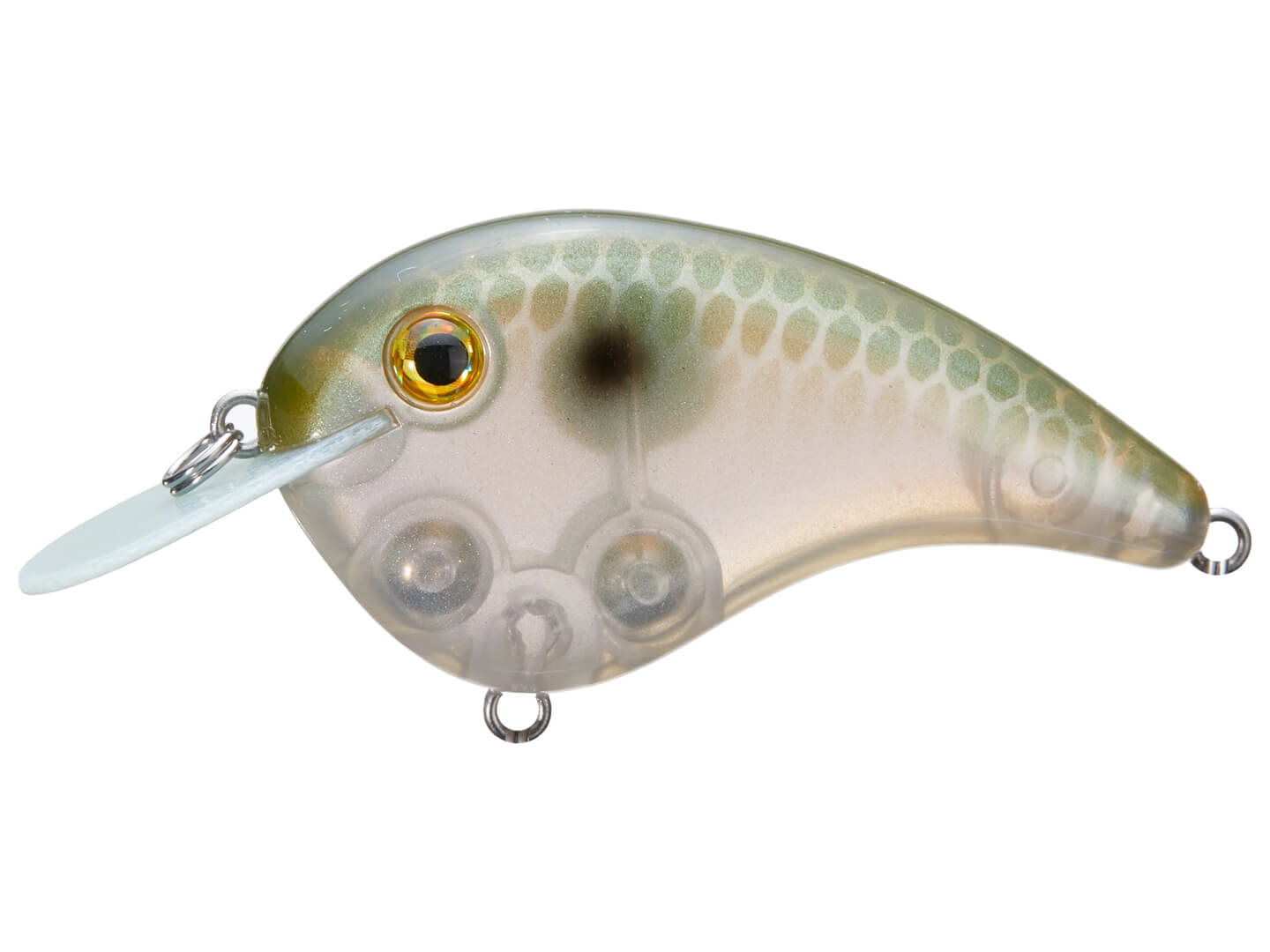 Strike King Chick Magnet Crankbait – Harpeth River Outfitters